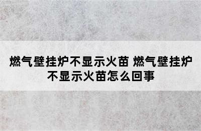 燃气壁挂炉不显示火苗 燃气壁挂炉不显示火苗怎么回事